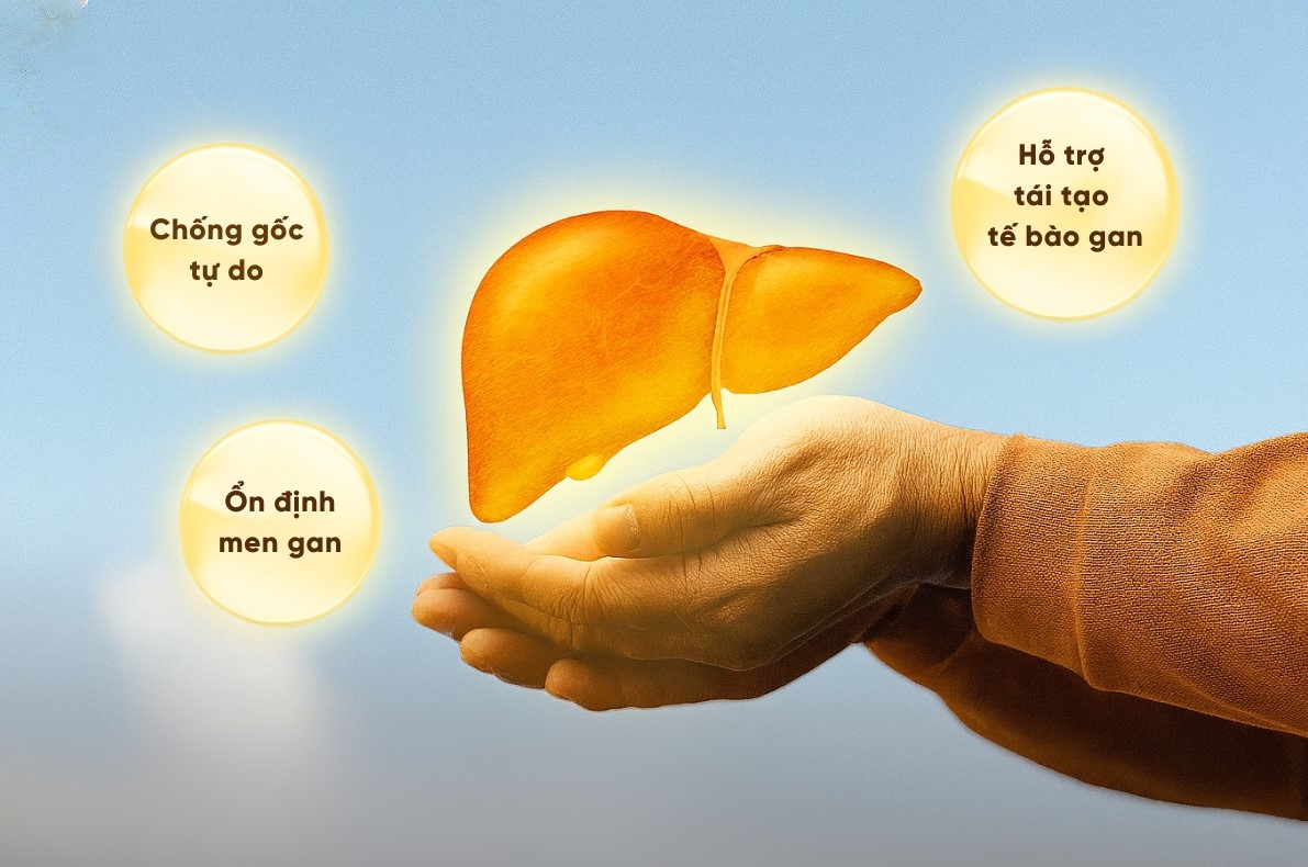 nấm lim xanh giải độc gan